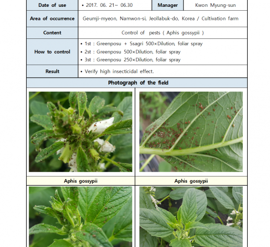 “Aphid” Control (sesame)