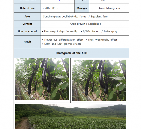 Crop growth management (Eggplant)
