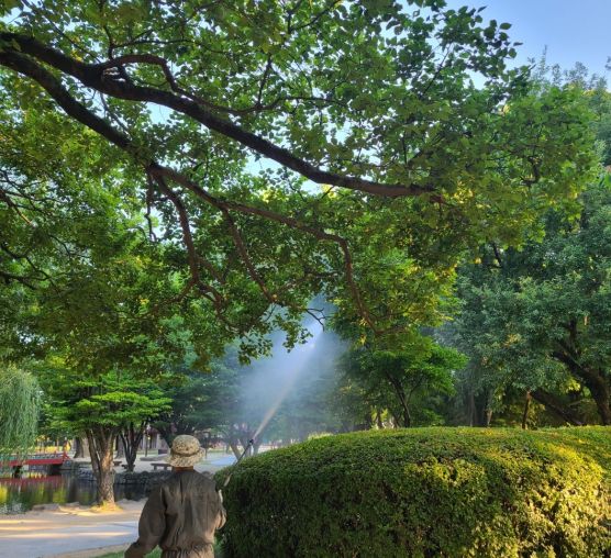 Pest control at tourist attractions in Jeonbuk Province